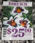BrecksBulbs_Free_25