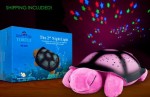 Twilight Turtle