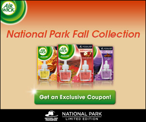 AIRWICK $2 OFF 2 PRODUCTS PRINTABLE COUPON