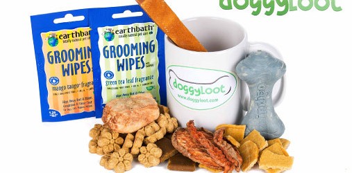 Give Doggy Loot a Try for Great Deals on Pet Products