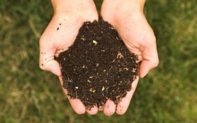 Use Inexpensive Homemade Fertilizer to Cut Cost on Your Frugal Garden