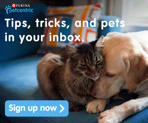 Sign Up With Petcentric For Helpful Pet Info, Special Offers, & More!