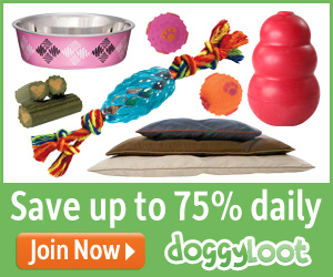 DOGGYLOOT DAILY DEALS = 75% OFF PET SUPPLIES DAILY + FREE SHIPPING