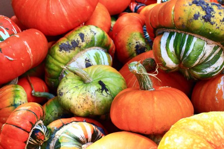 How to Make Halloween a Frugally Fabulous Holiday
