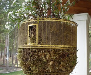 Spruce Up your Garden this Spring with a Frugal DIY Birdcage Planter
