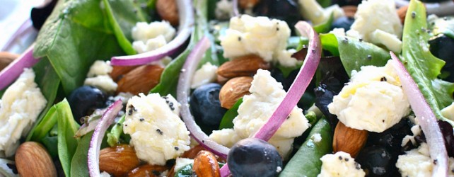 Cooking On a Budget: Feta and Blueberry Spring Salad