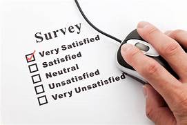 online surveys